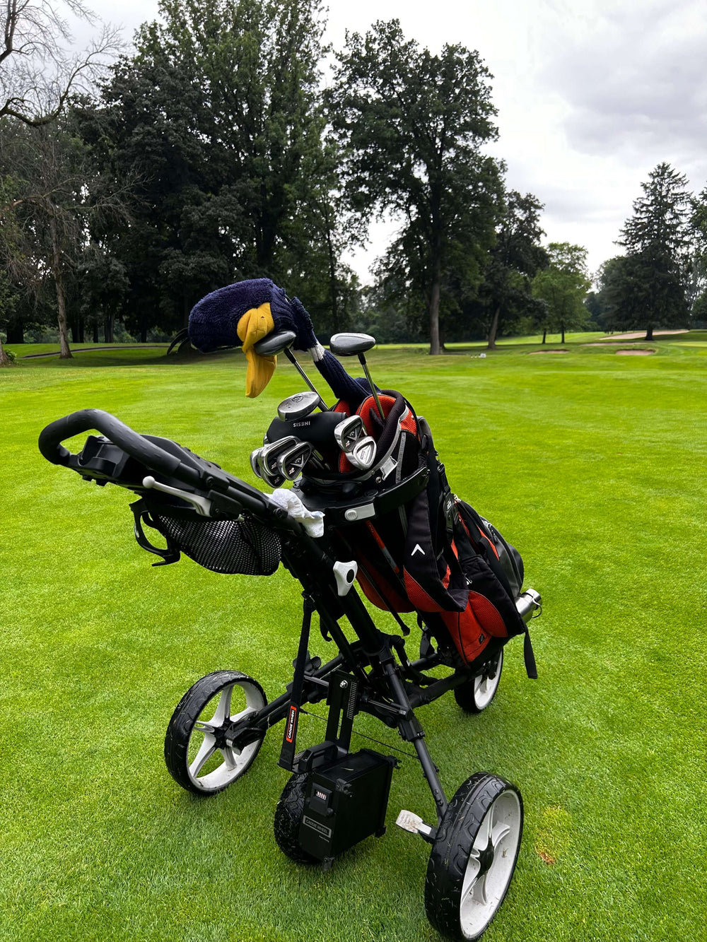 Caddie Wheel + Bag Boy Quad XL Push Cart Bundle