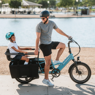 Lectric eBikes XL Cargo Pannier Bags (2)