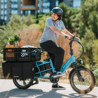 Lectric eBikes XL Cargo Pannier Bags (2)