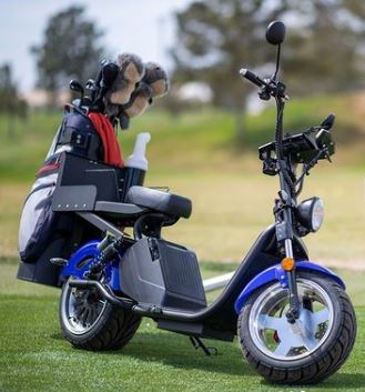 14 STX - The "Cruiser 3.0" Golf Scooter - Big Horn Golfer