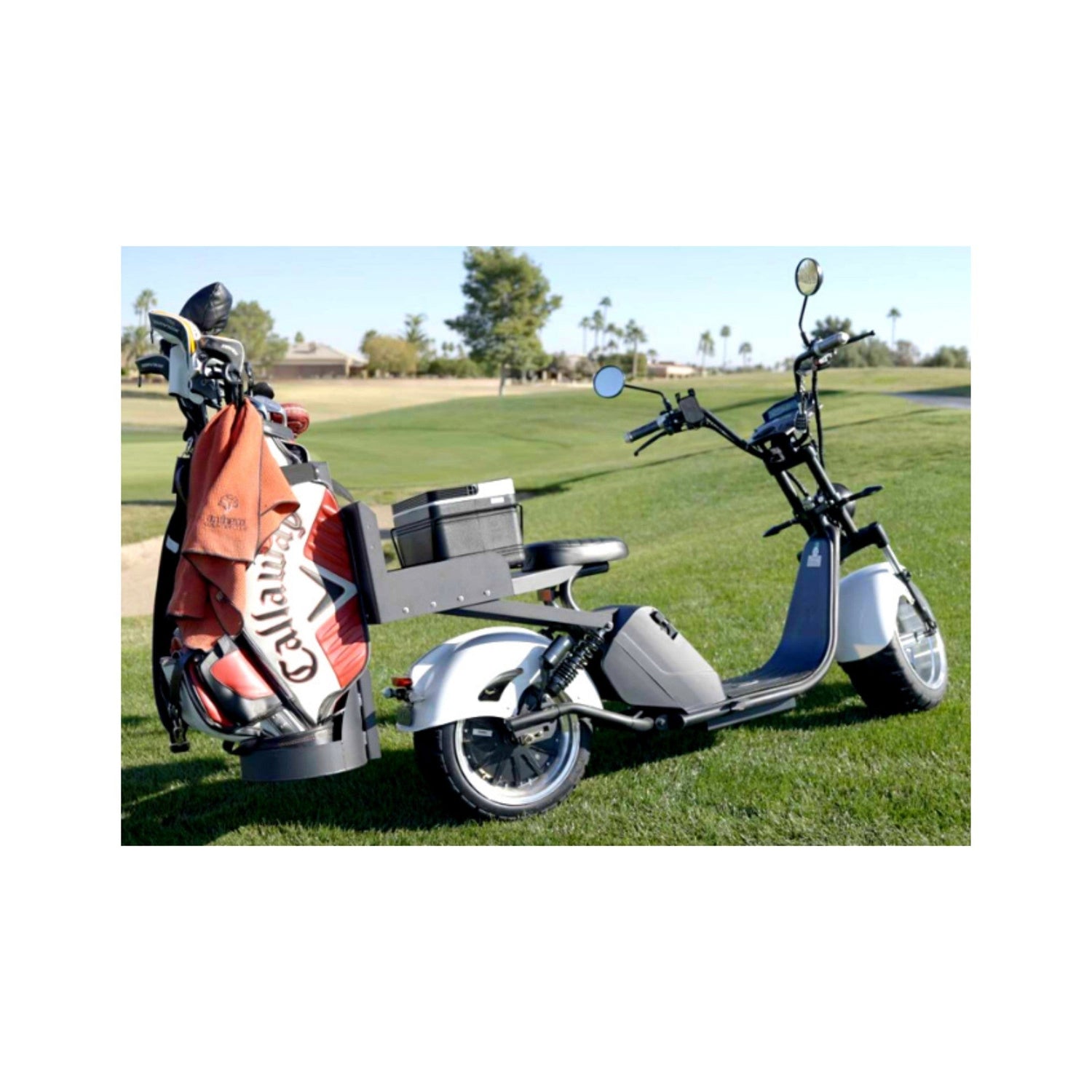 2 Wheel Golf Scooters - Big Horn Golfer