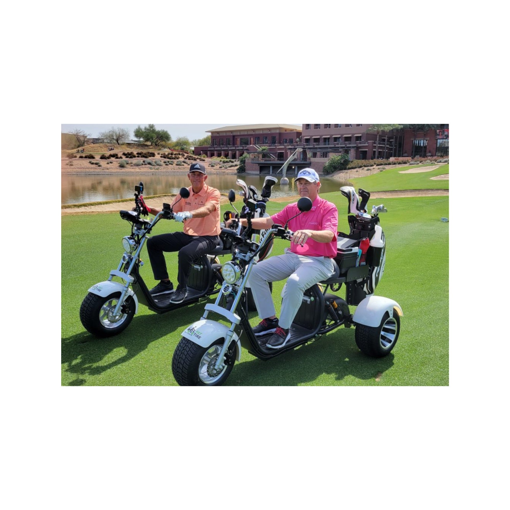 Shop Electric Golf Buggies Silent Fairway Travel Big Horn Golfer