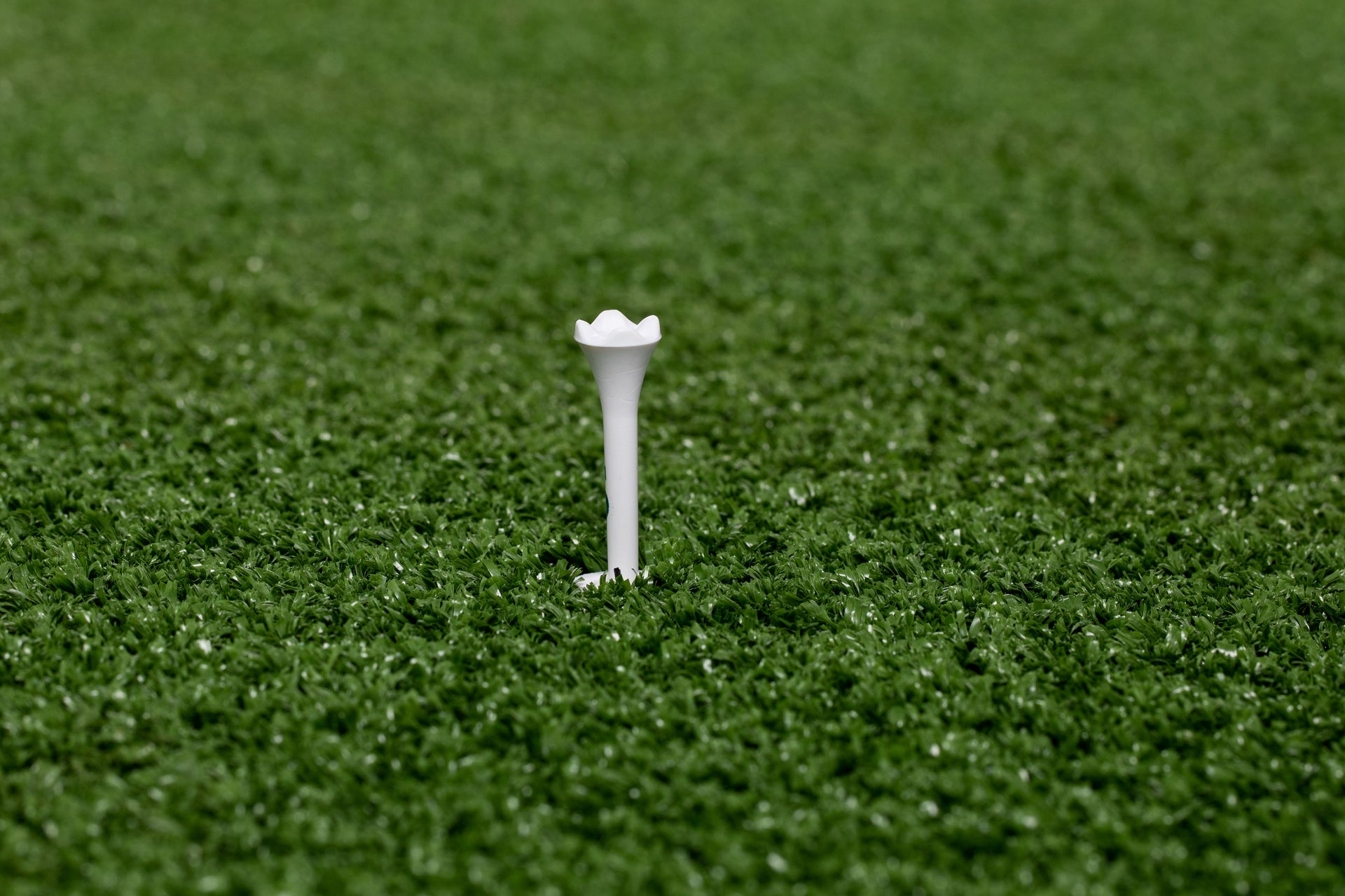 Golf Net