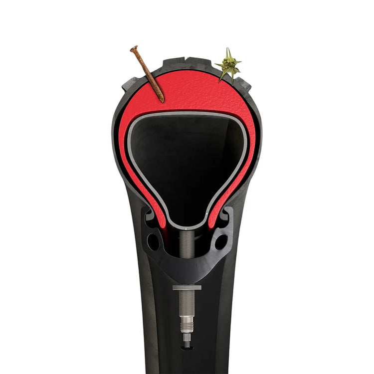 Birch Tannus Anti-Puncture Insert with Inner Tube