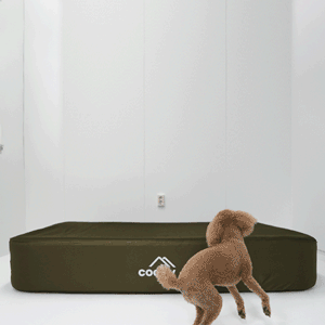 RBM Coody Air Mattress (Forest Green)