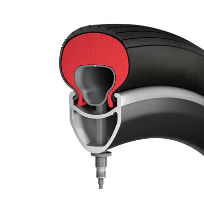 Birch Tannus Anti-Puncture Insert with Inner Tube