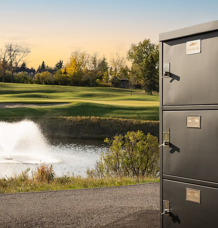 The Cart Locker