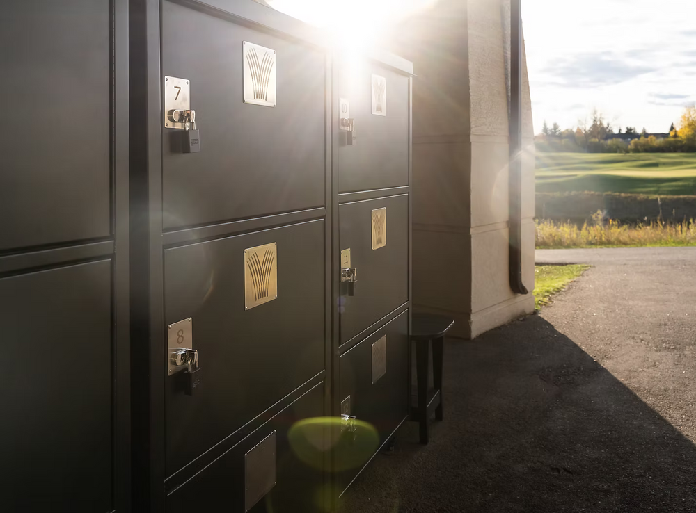 The Cart Locker