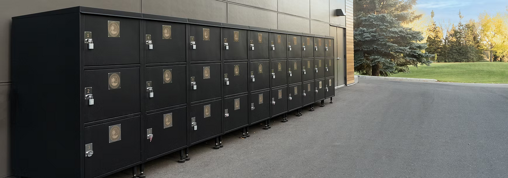 The Cart Locker