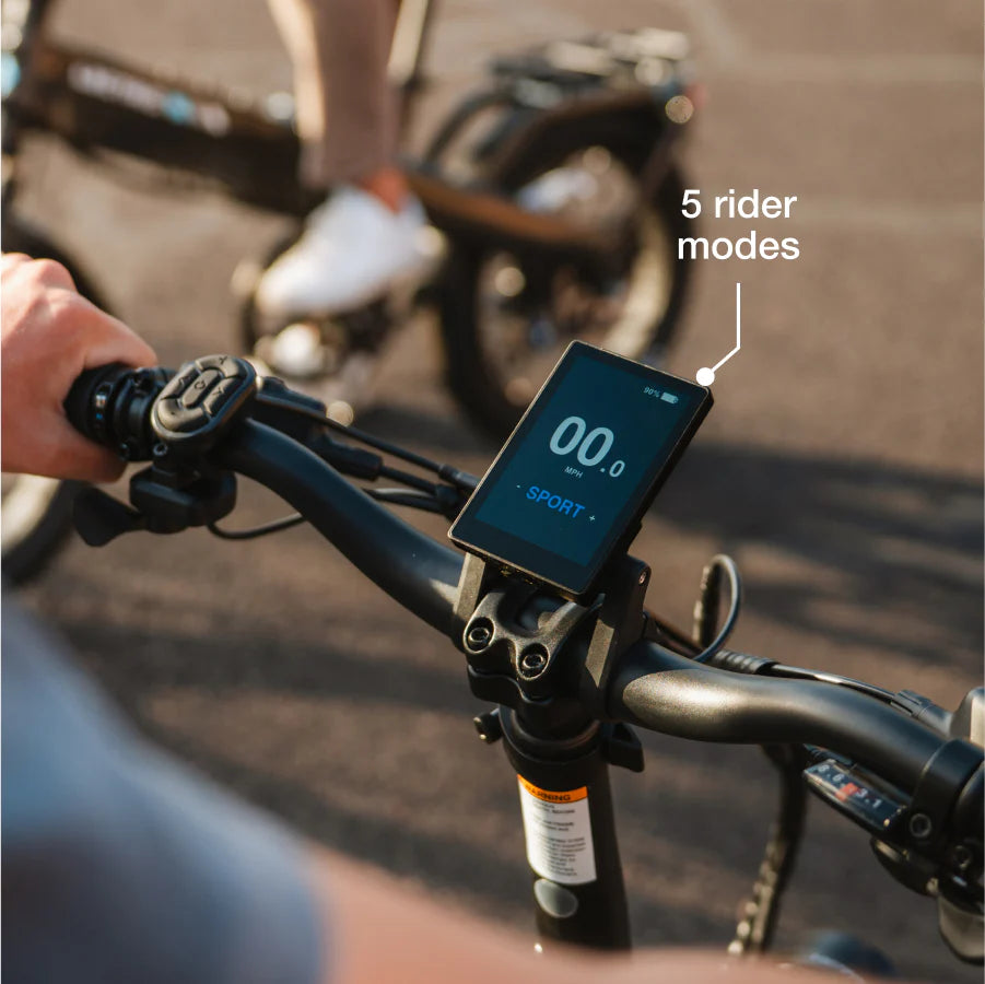 Lectric XP4 750 Pine Green eBike