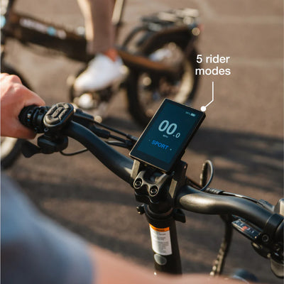 Lectric XP4 750 Pine Green eBike