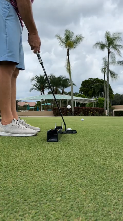 The Putting Arc MS-3D