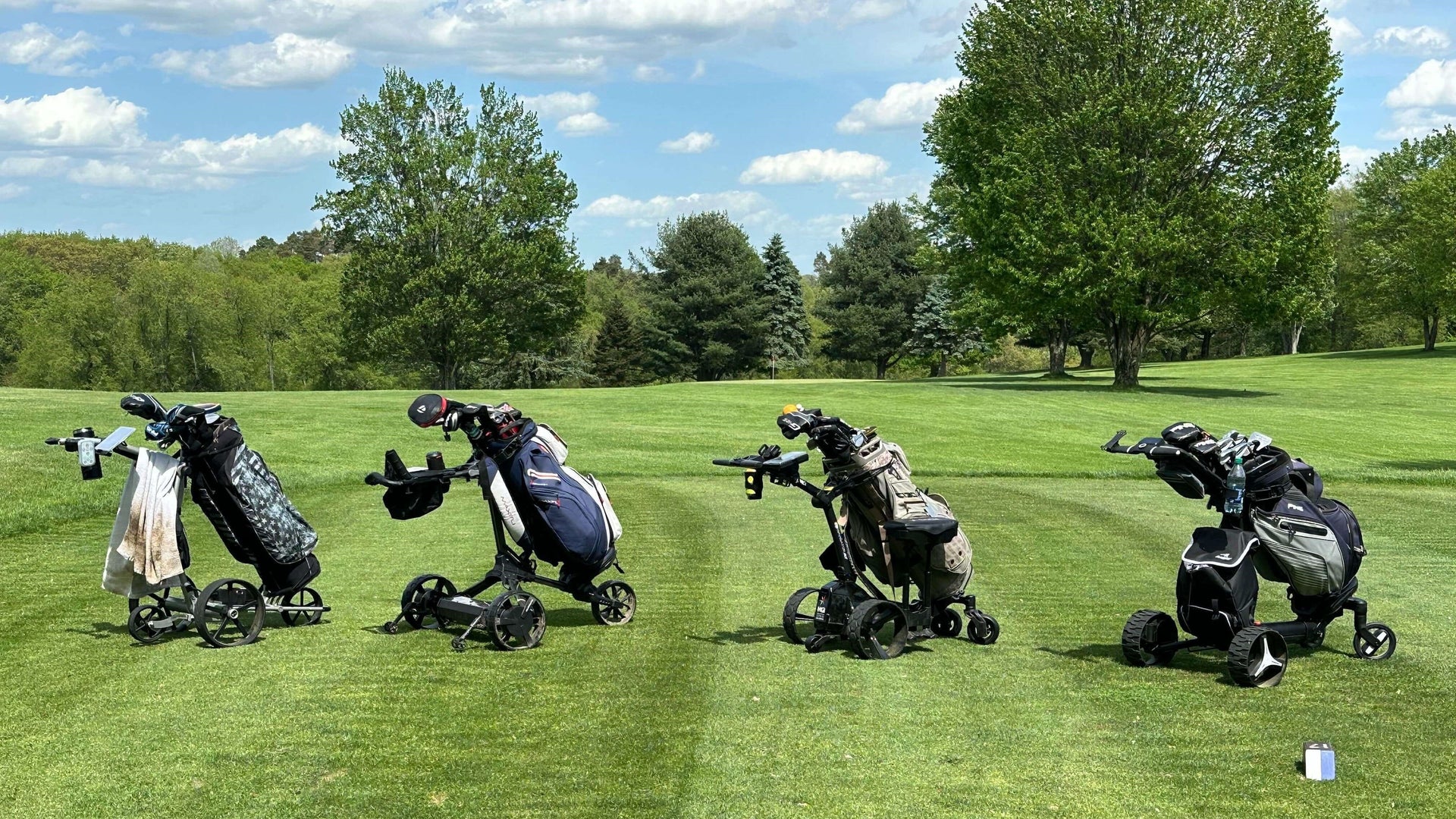 Electric Golf Push Cart