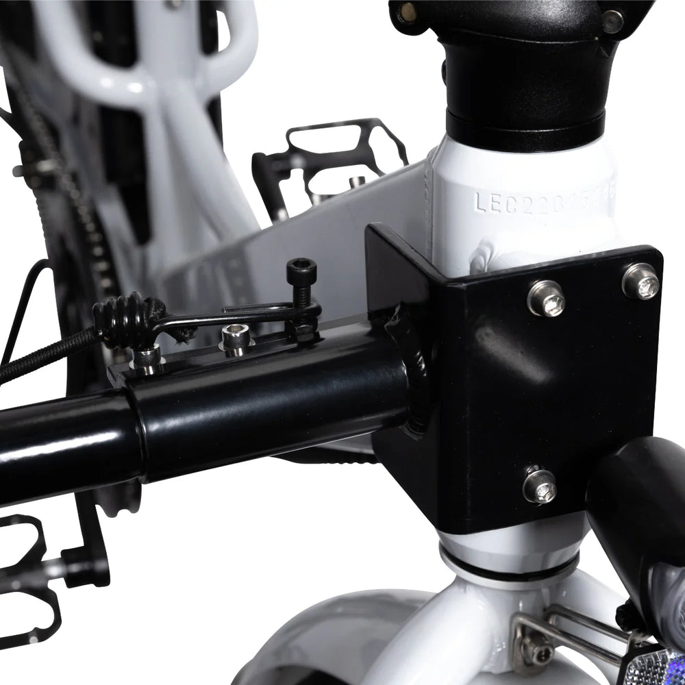 Lectric eBike Surfboard Rack
