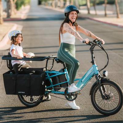 Lectric eBikes XL Cargo Pannier Bags (2)