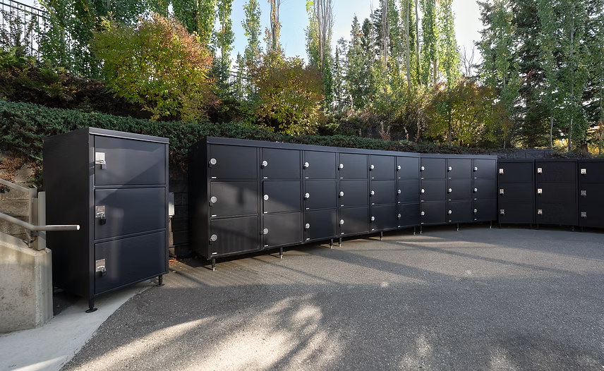 The Cart Locker