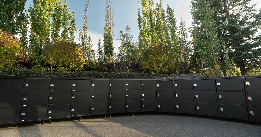 The Cart Locker