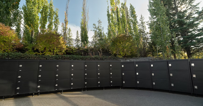 The Cart Locker