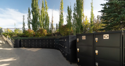 The Cart Locker