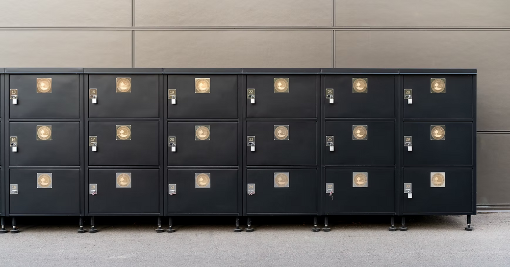The Cart Locker