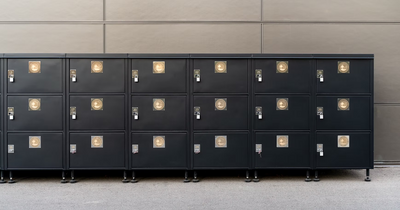 The Cart Locker