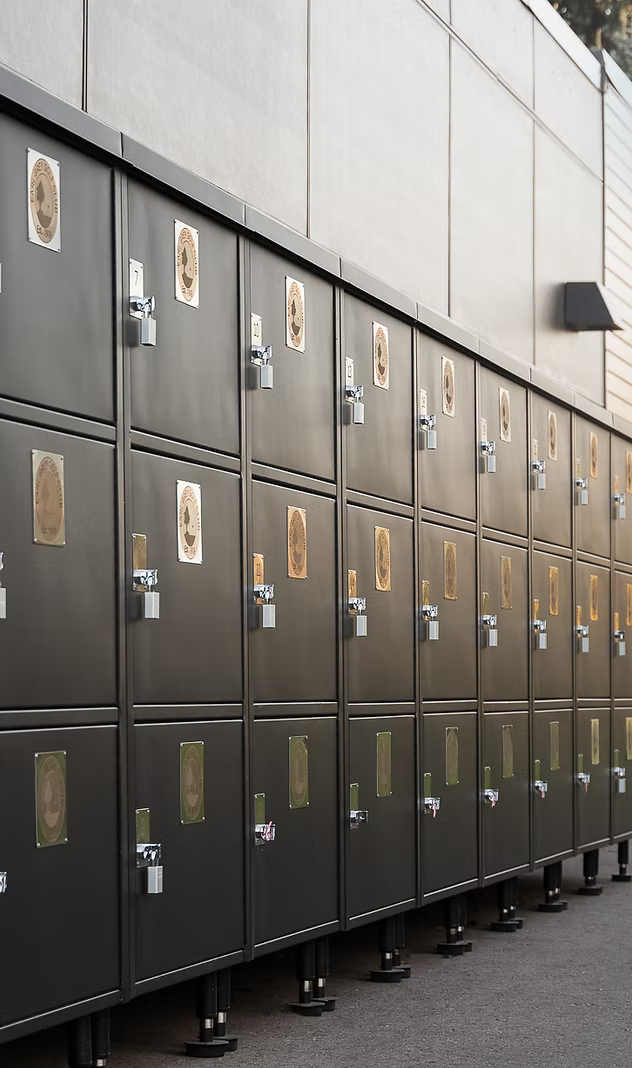 The Cart Locker