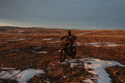 Bakcou - Grizzly Electric Scooter