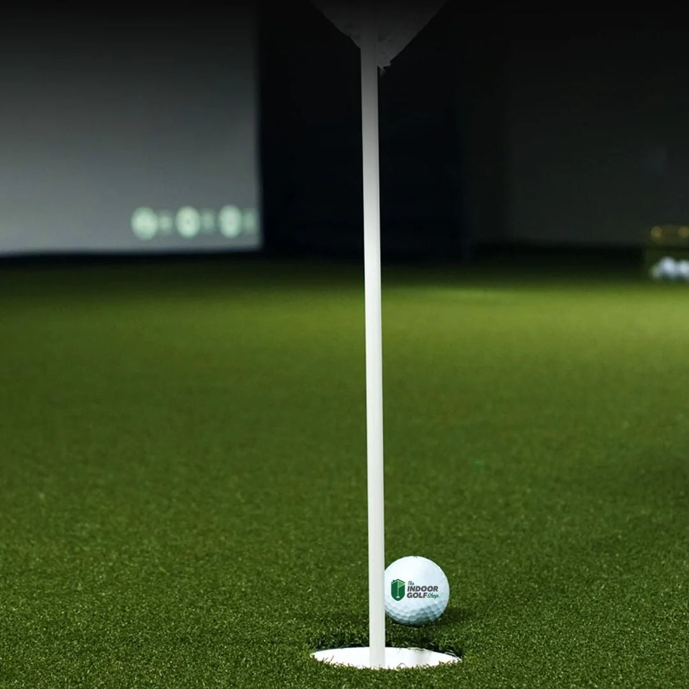 Shop Indoor Golf TIGS Money Putt Golf Turf