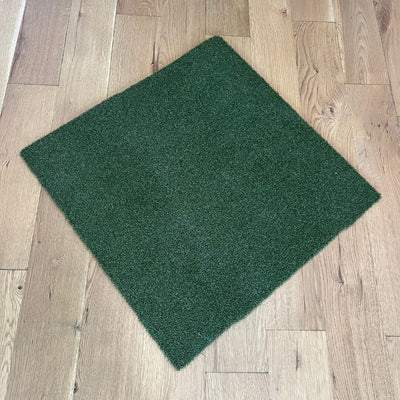 Shop Indoor Golf TIGS Money Putt Golf Turf