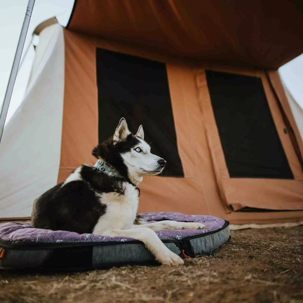 10'x10' Prota Canvas Tent - Big Horn Golfer