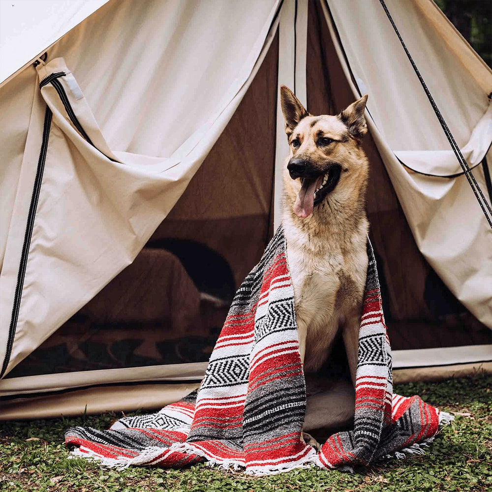 avalon tent White Duck Outdoors