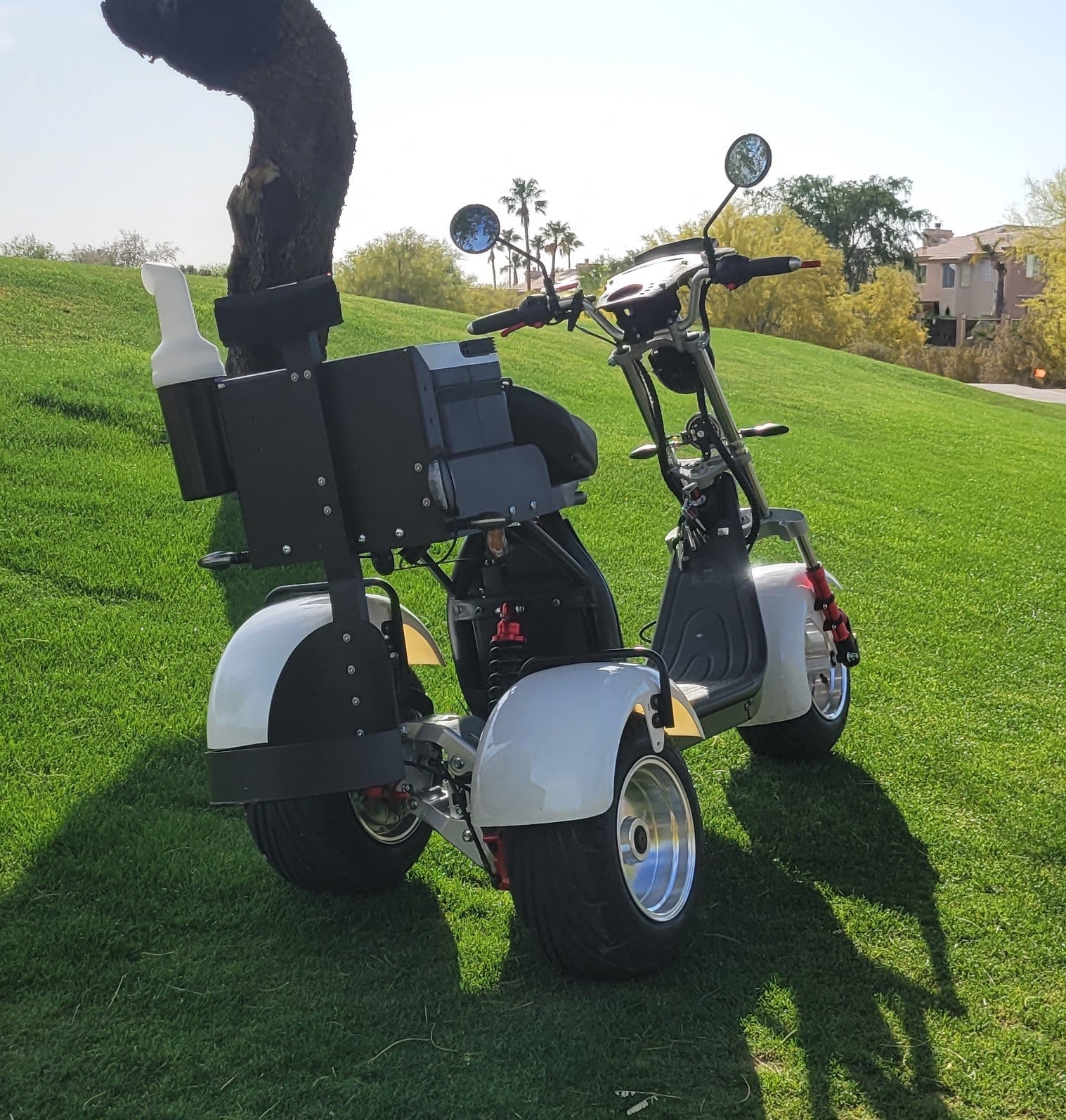 14 STX - Rattler Trike Golf Scooter - Big Horn Golfer