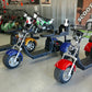 14 STX - Rebel Trike Golf Scooter - Big Horn Golfer