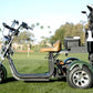 14 STX - Rebel Trike Golf Scooter - Big Horn Golfer