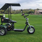 14 STX - Rebel Trike Golf Scooter - Big Horn Golfer
