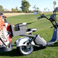 14 STX - The "Cruiser 3.0" Golf Scooter - Big Horn Golfer