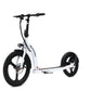 Bakcou - Badger Electric Scooter - Big Horn Golfer