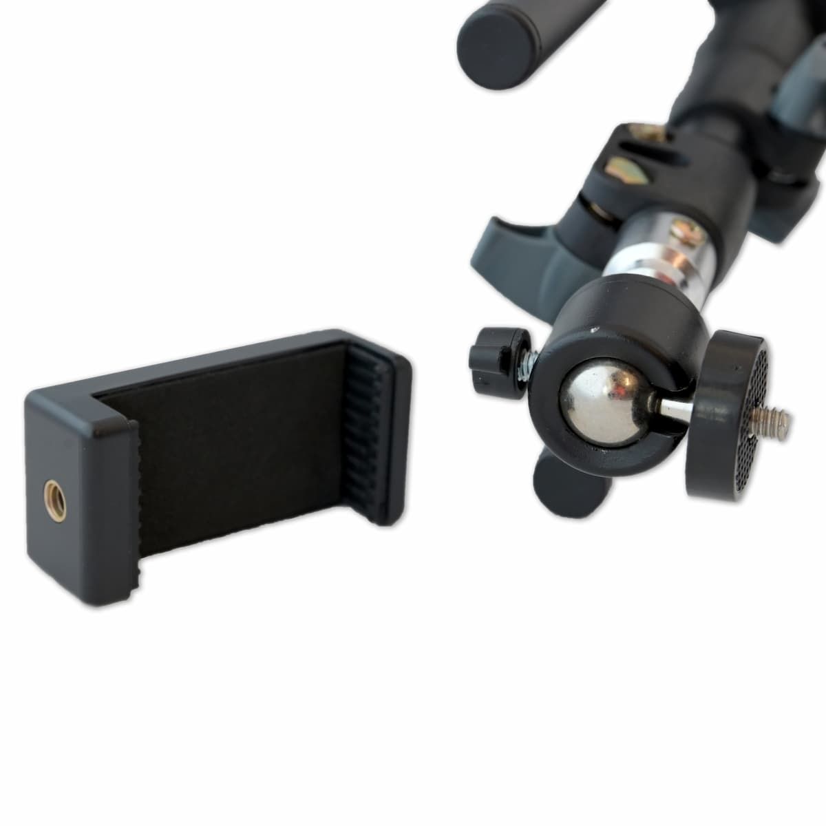 Carl's Place - Golf Swing Camera Tripod - Big Horn Golfer